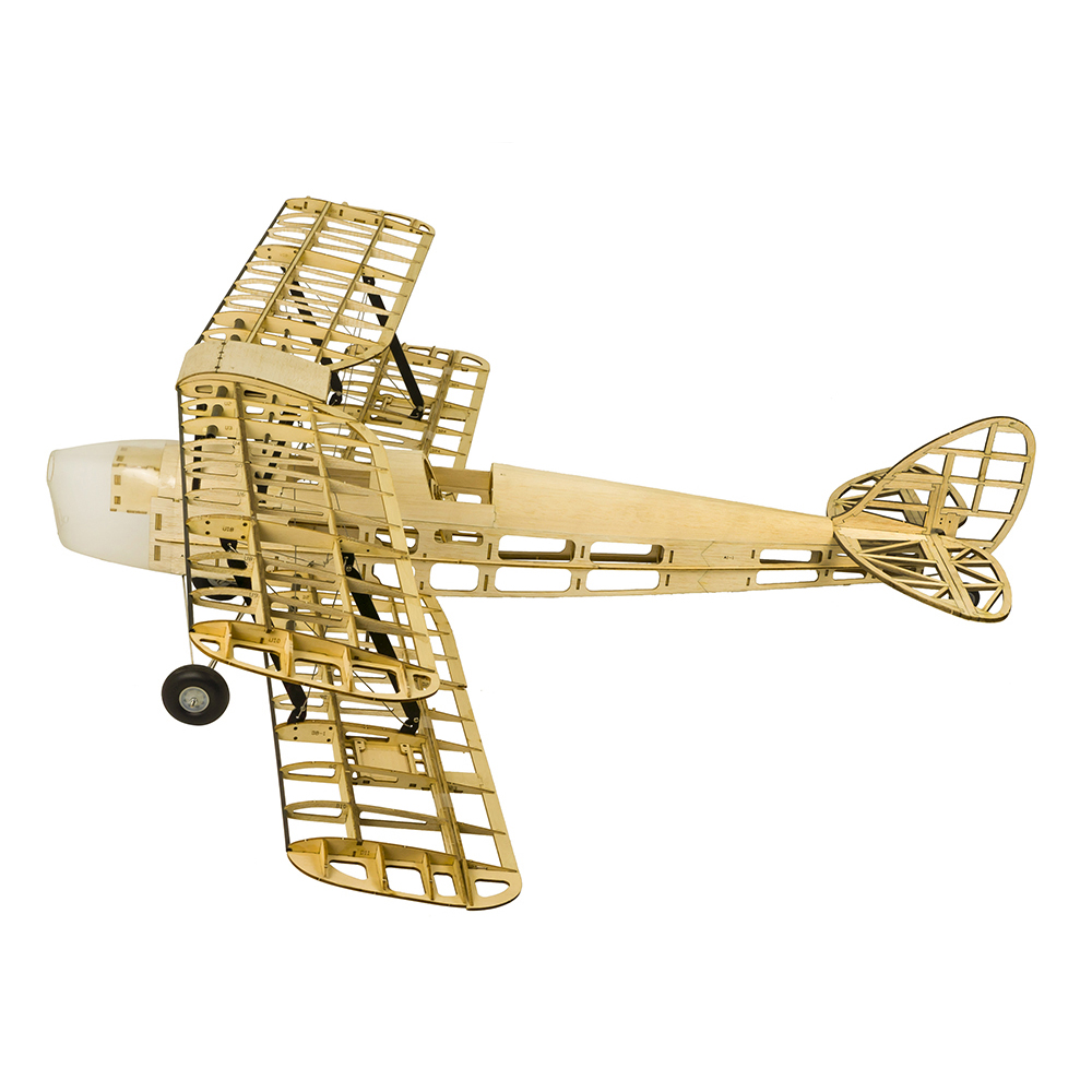 DW Hobby S19 Avión RC Tiger Mo - Model Kit Expert reseña y precio