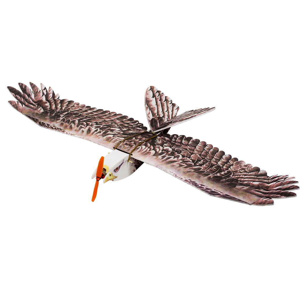 DW Hobby Eagle II EPP avión RC - Model Kit Expert reseña y precio
