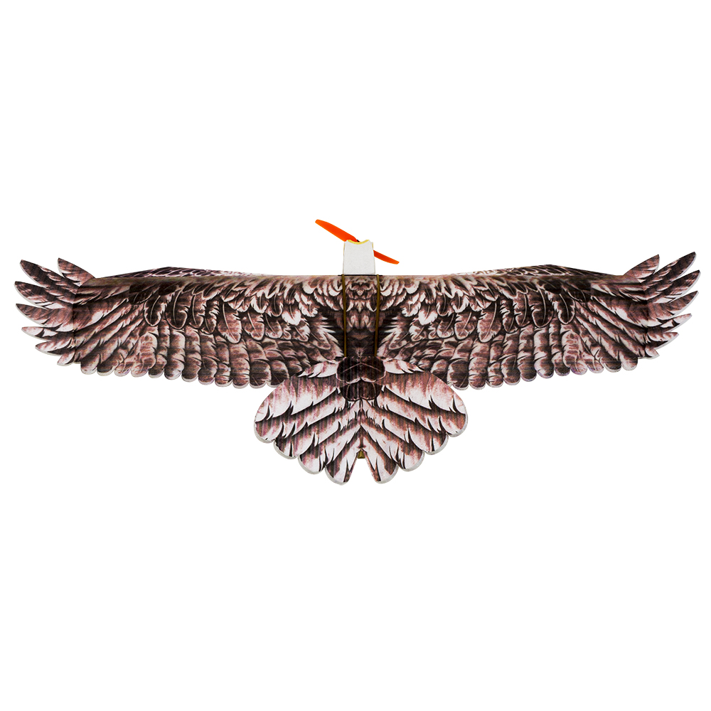 DW Hobby Eagle II EPP avión RC - Model Kit Expert reseña y precio