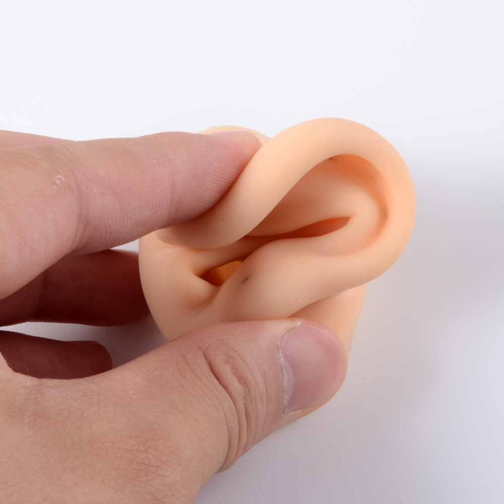 Modelo de oreja de silicona su - Model Kit Display Case reseña y precio
